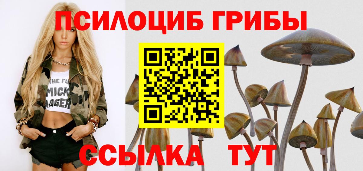 Черняховск  Псилоцибиновые грибы ЛСД  Вход с VPN 